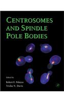Centrosomes and Spindle Pole Bodies