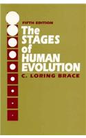 Stages of Human Evolution