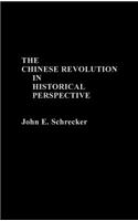 Chinese Revolution in Historical Perspective