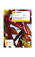 Teach Yourself Spanish (Book + Cd)