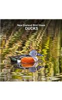 New Zealand bird views