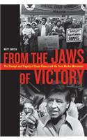 From the Jaws of Victory