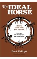 Ideal Horse