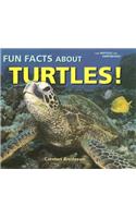 Fun Facts about Turtles!