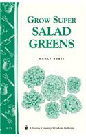 Grow Super Salad Greens