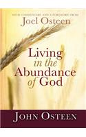 Living in the Abundance of God