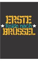 Erste Reise nach Brüssel