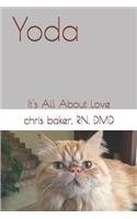 Yoda: It's All About Love