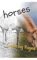 Horses Coloring Sheets