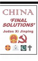 China 'final Solutions'