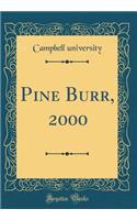 Pine Burr, 2000 (Classic Reprint)