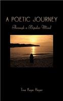 A Poetic Journey: Through a Bipolar Mind