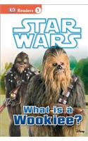 Star Wars: What Is a Wookiee?