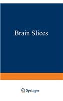 Brain Slices