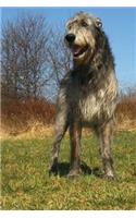 The Irish Wolfhound Dog Journal: 150 page lined notebook/diary