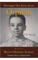 Through the Eyes of an Orphan