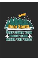 Dear Santa, Just Leave your Credit Card under the Tree!