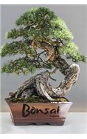 Bonsai