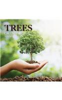Trees Calendar 2020: 16 Month Calendar