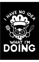 I Have No Idea What I'm Doing