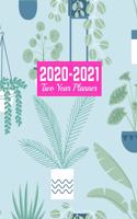 2020-2021 Two Year Planner: Neat Daily Weekly Monthly 2020-2021 Planner Organizer, Agenda, Schedule and To Do List Journal - Art Cover 00023189