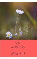 Zaynab