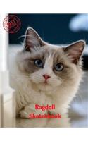 Ragdoll Sketchbook