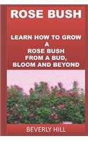 Rose Bush: Learn How to Grow a Rose Bush from a Bud, Bloom or Beyond