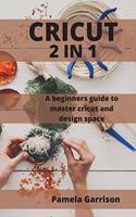 Cricut 2 in 1: A beginners Guide to master cricut and design space.