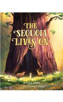 Sequoia Lives on