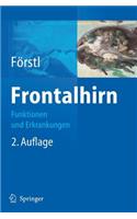 Frontalhirn