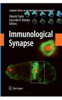 Immunological Synapse