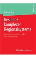 Resilienz komplexer Regionalsysteme: Brunsbüttel zwischen Lock-in und Lernprozessen(German)