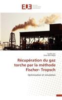 Récupération Du Gaz Torche Par La Méthode Fischer- Tropsch