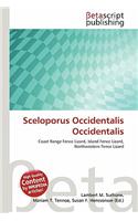 Sceloporus Occidentalis Occidentalis: (English)
