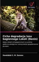 Cicha degradacja lasu bagiennego Lokoli (Benin)