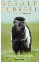 Catch Me A Colobus(New Edn)