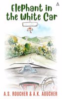Elephant in the White Car