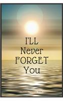 I'll Never Forget You
