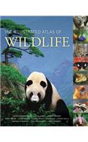 The Illustrated Atlas of Wildlife