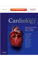 Cardiology