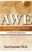 Awe: The Delights and Dangers of Our Eleventh Emotion