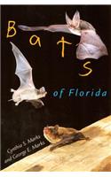 Bats of Florida