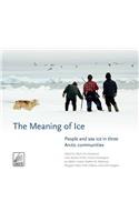 Meaning of Ice