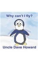 Why Can't I Fly?