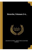 Ricerche, Volumes 3-4...