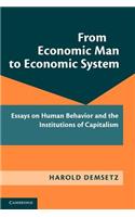 From Economic Man to Economic System