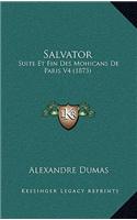 Salvator: Suite Et Fin Des Mohicans De Paris V4 (1873)(French)