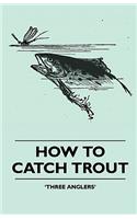 How To Catch Trout