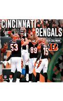 Cincinnati Bengals: 2020 12x12 Team Wall Calendar